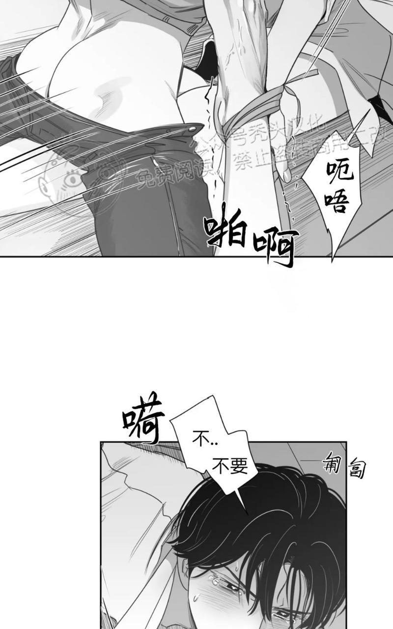 我的专属彗星/彗星向我来[耽美]韩漫全集-第41话无删减无遮挡章节图片 