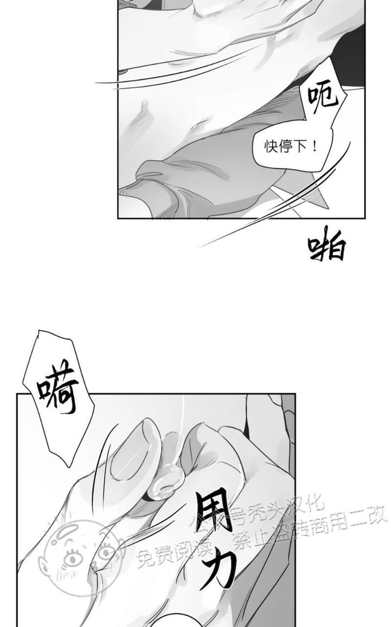 我的专属彗星/彗星向我来[耽美]韩漫全集-第41话无删减无遮挡章节图片 