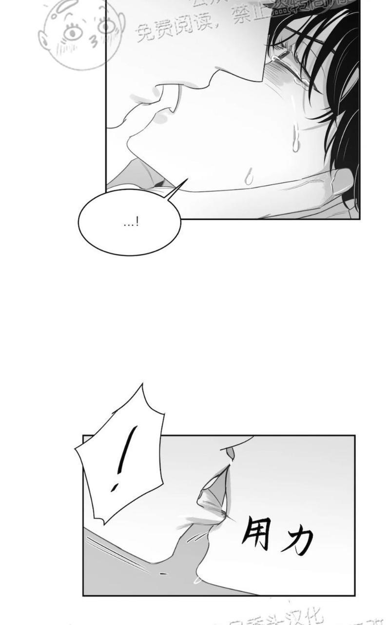 我的专属彗星/彗星向我来[耽美]韩漫全集-第41话无删减无遮挡章节图片 