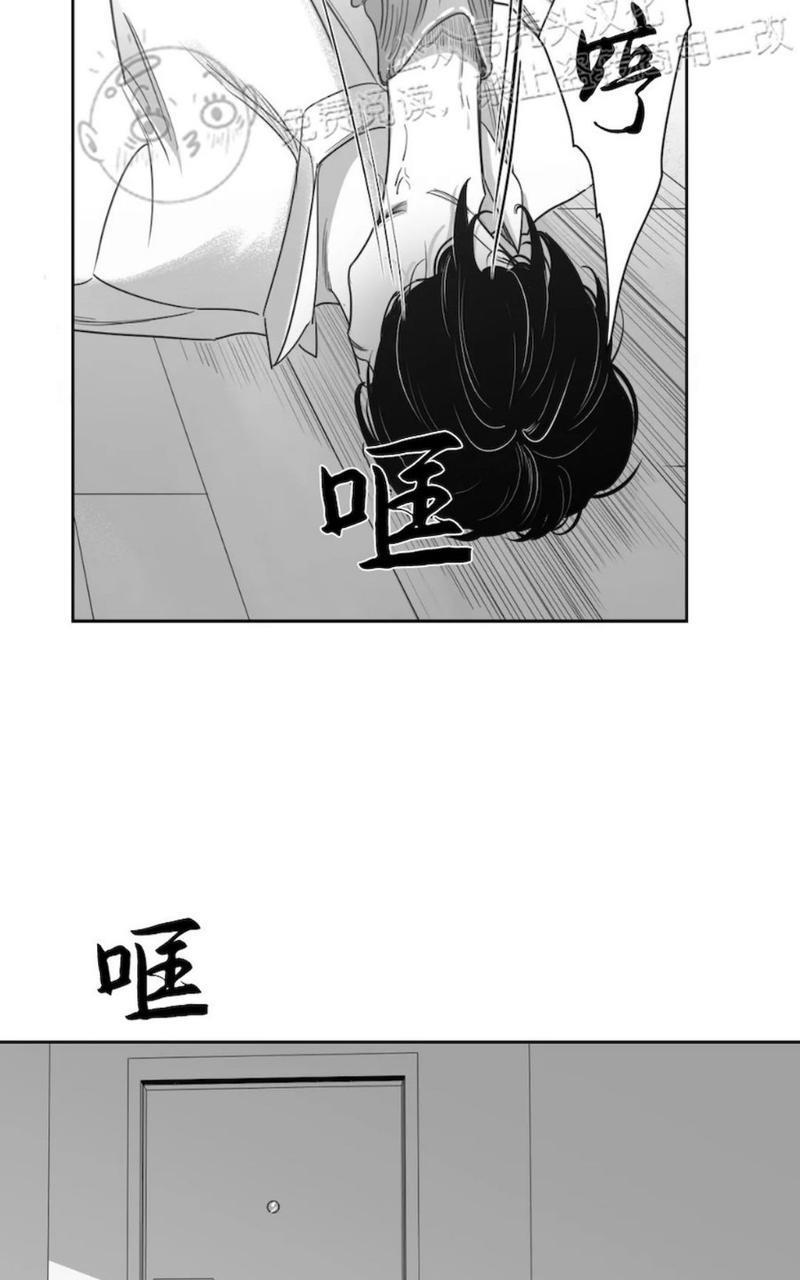 我的专属彗星/彗星向我来[耽美]韩漫全集-第41话无删减无遮挡章节图片 