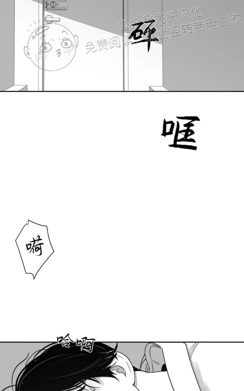 我的专属彗星/彗星向我来[耽美]韩漫全集-第41话无删减无遮挡章节图片 