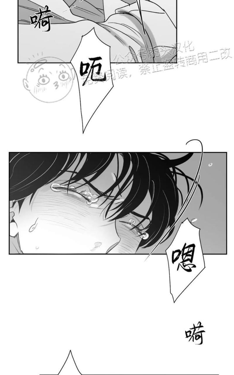 我的专属彗星/彗星向我来[耽美]韩漫全集-第41话无删减无遮挡章节图片 