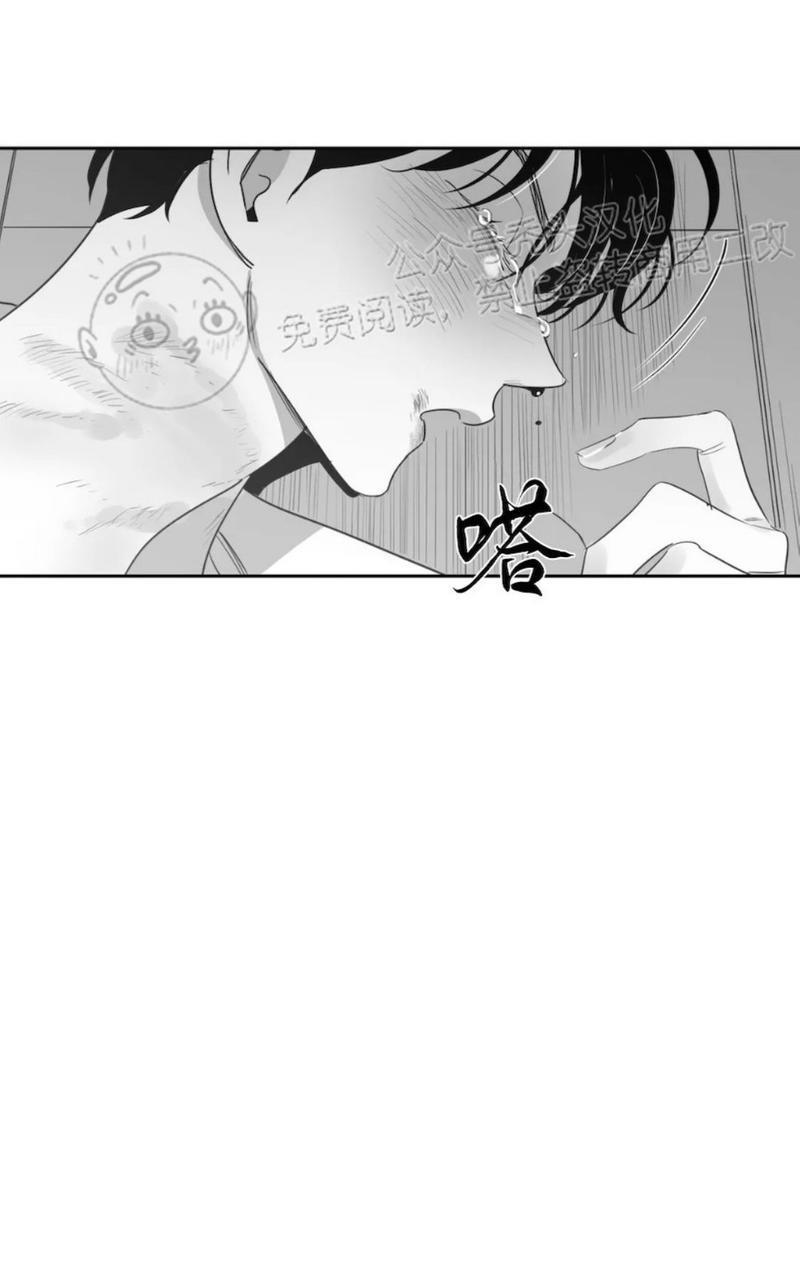 我的专属彗星/彗星向我来[耽美]韩漫全集-第41话无删减无遮挡章节图片 