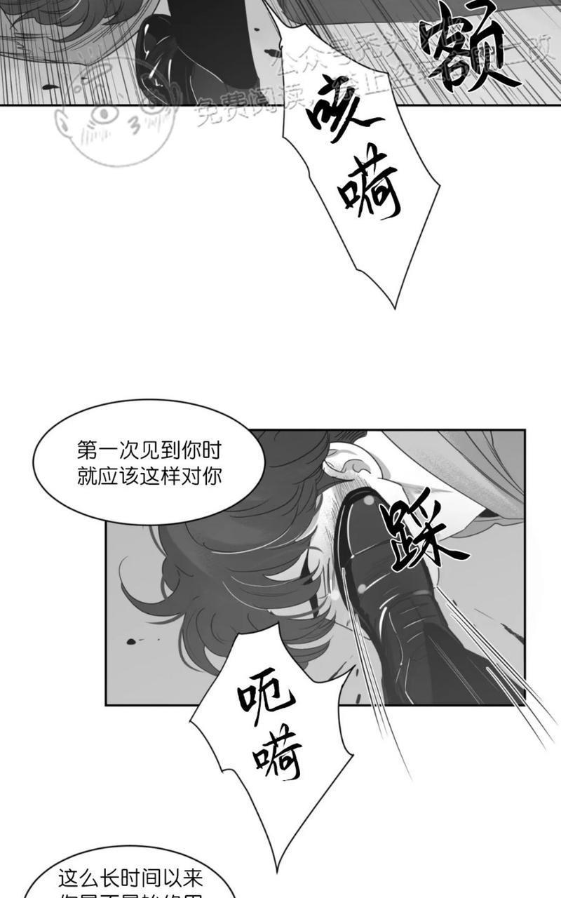 我的专属彗星/彗星向我来[耽美]韩漫全集-第41话无删减无遮挡章节图片 