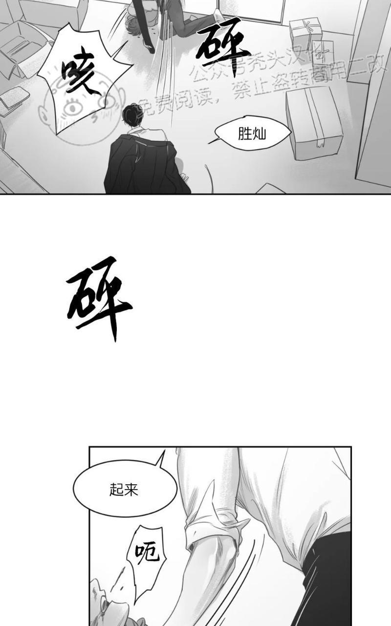 我的专属彗星/彗星向我来[耽美]韩漫全集-第41话无删减无遮挡章节图片 