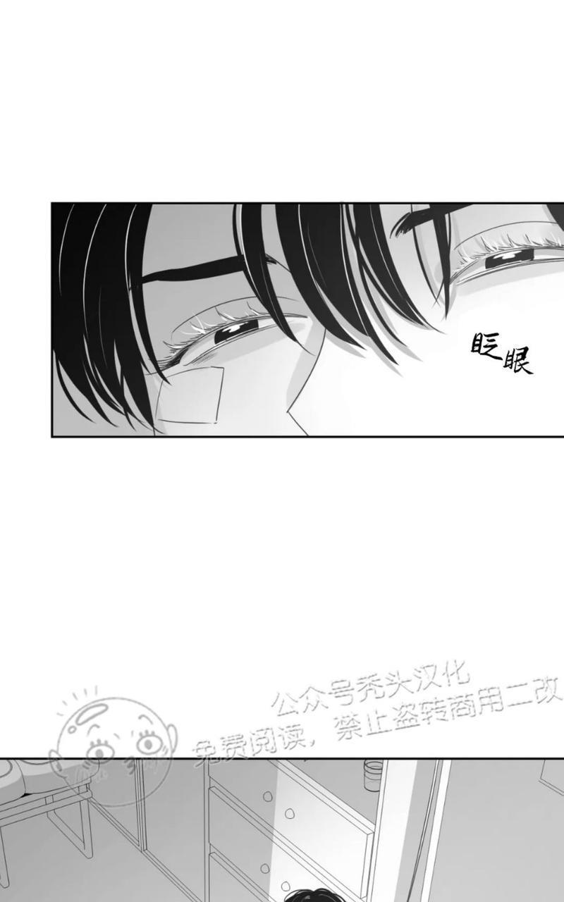 我的专属彗星/彗星向我来[耽美]韩漫全集-第42话无删减无遮挡章节图片 