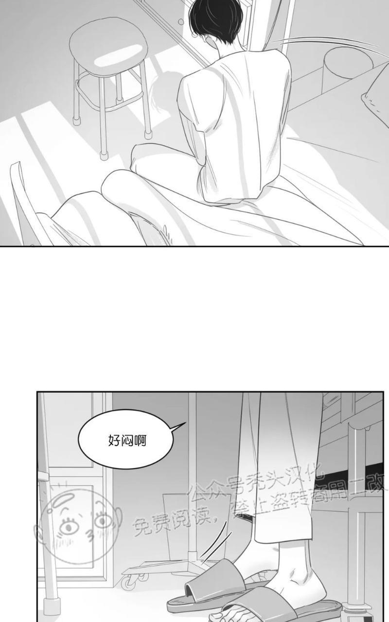 我的专属彗星/彗星向我来[耽美]韩漫全集-第42话无删减无遮挡章节图片 