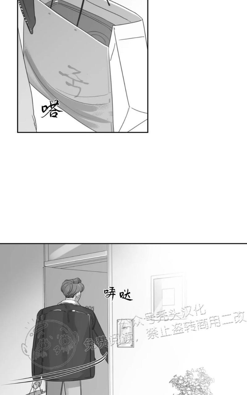 我的专属彗星/彗星向我来[耽美]韩漫全集-第42话无删减无遮挡章节图片 