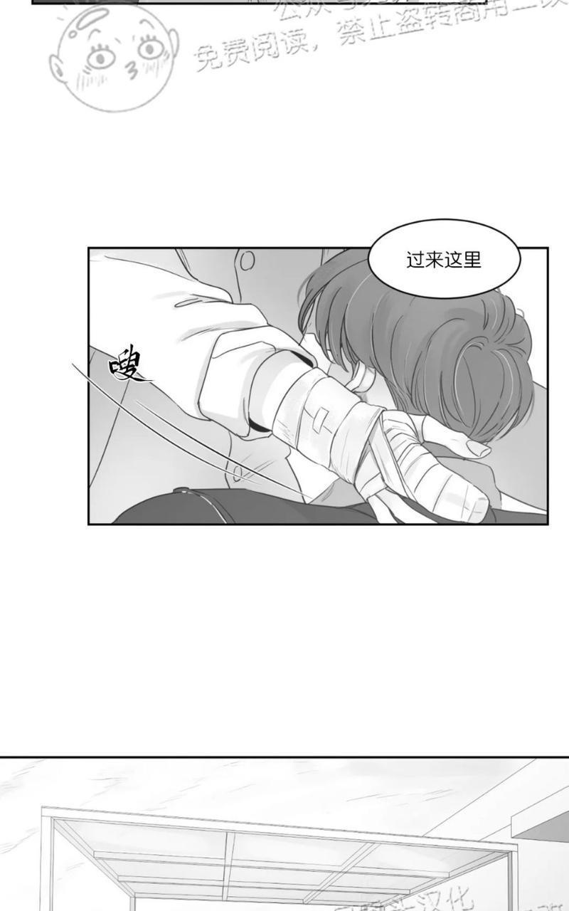我的专属彗星/彗星向我来[耽美]韩漫全集-第42话无删减无遮挡章节图片 