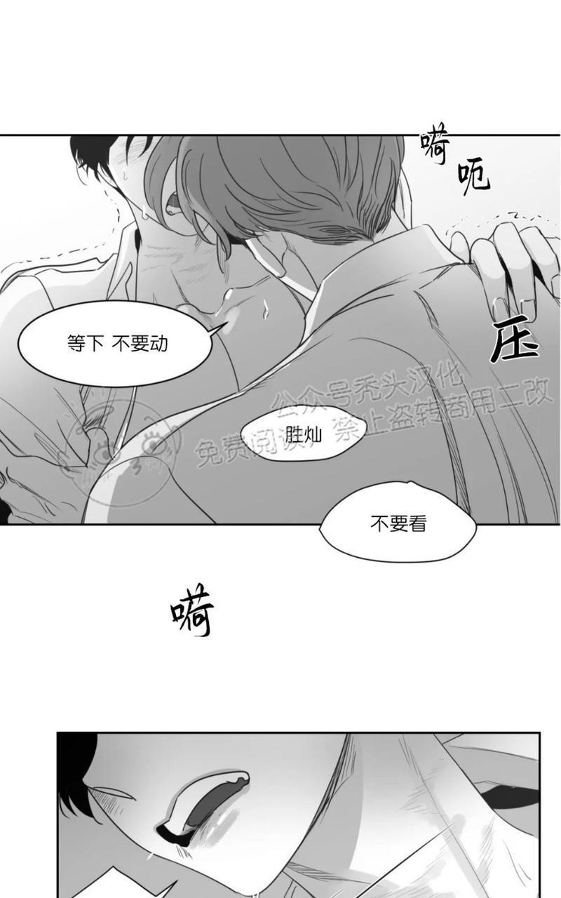 我的专属彗星/彗星向我来[耽美]韩漫全集-第43话无删减无遮挡章节图片 