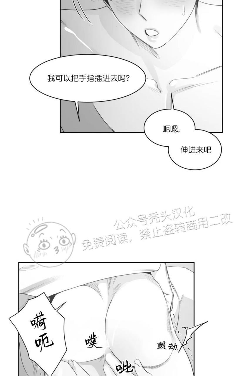 我的专属彗星/彗星向我来[耽美]韩漫全集-第44话无删减无遮挡章节图片 
