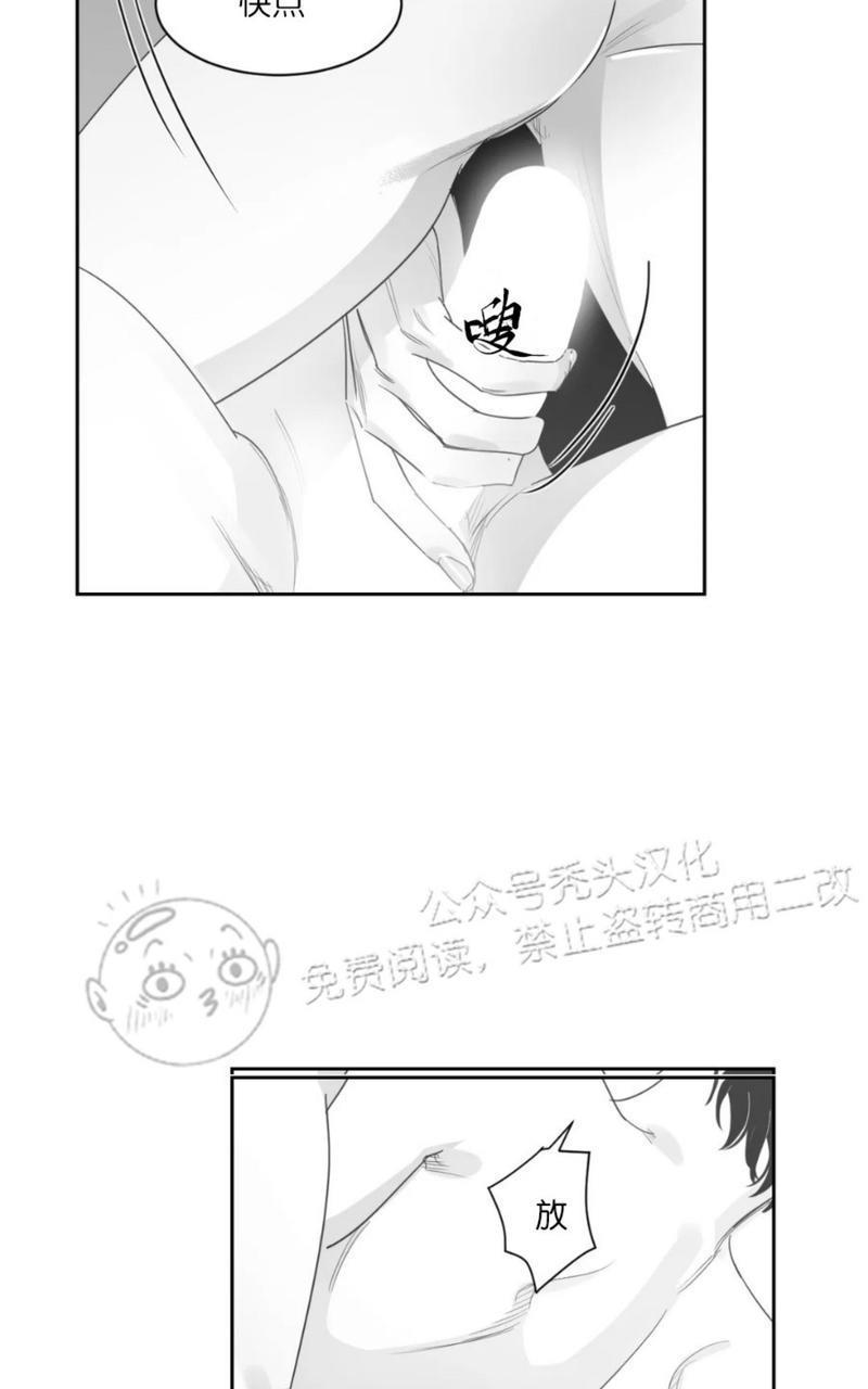 我的专属彗星/彗星向我来[耽美]韩漫全集-第44话无删减无遮挡章节图片 
