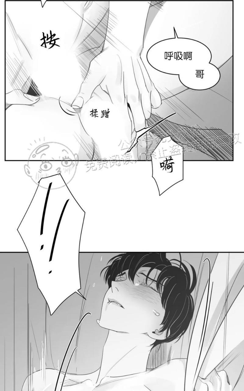 我的专属彗星/彗星向我来[耽美]韩漫全集-第44话无删减无遮挡章节图片 