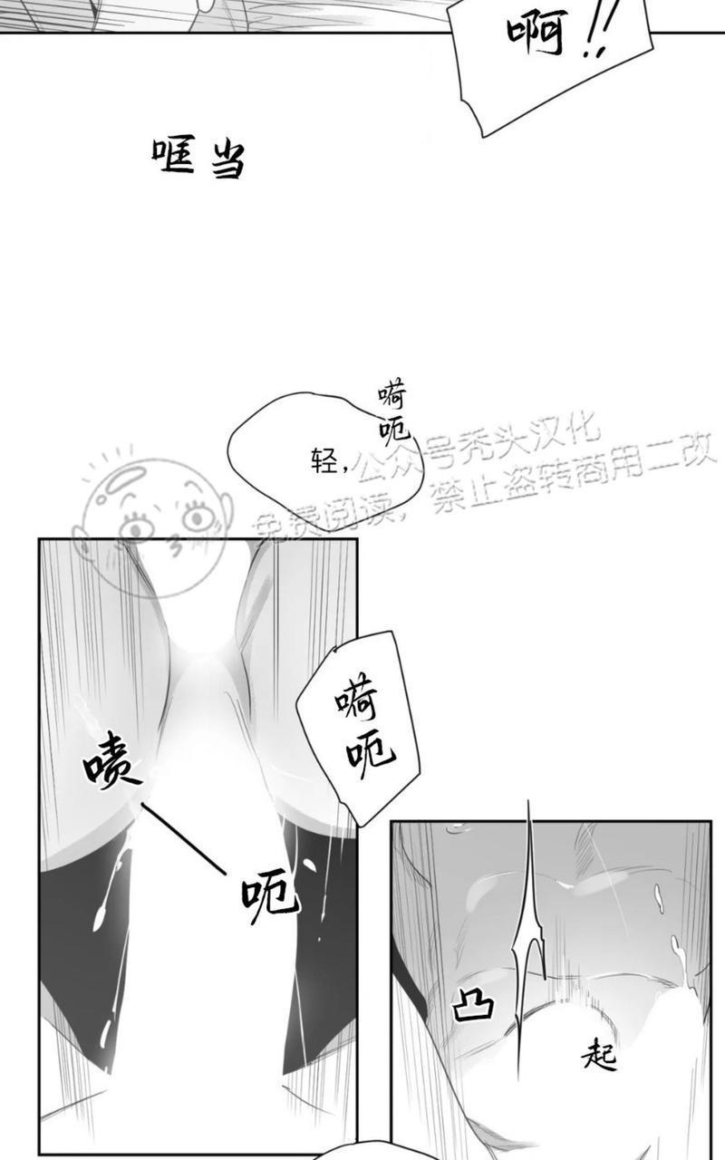 我的专属彗星/彗星向我来[耽美]韩漫全集-第44话无删减无遮挡章节图片 