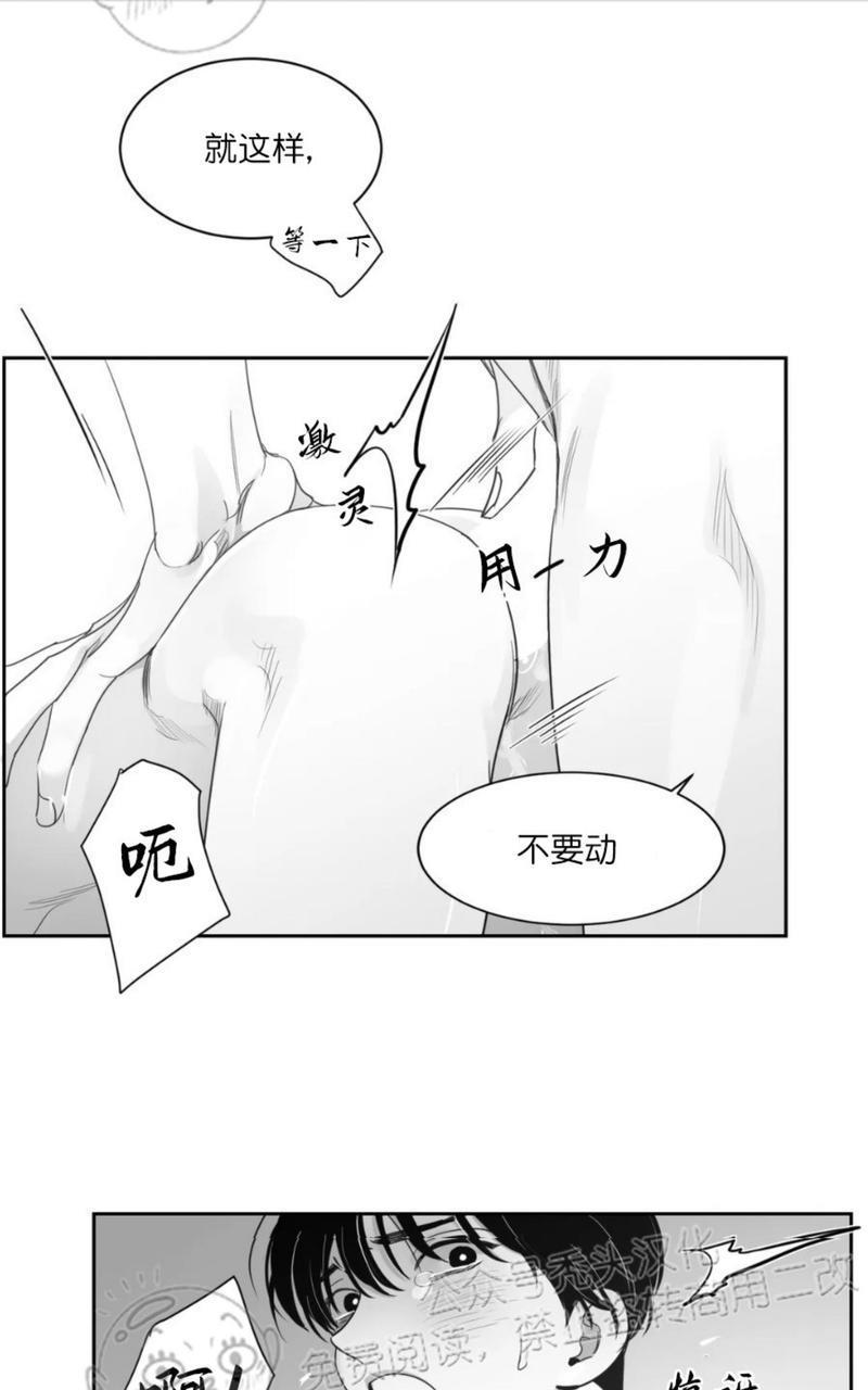 我的专属彗星/彗星向我来[耽美]韩漫全集-第44话无删减无遮挡章节图片 