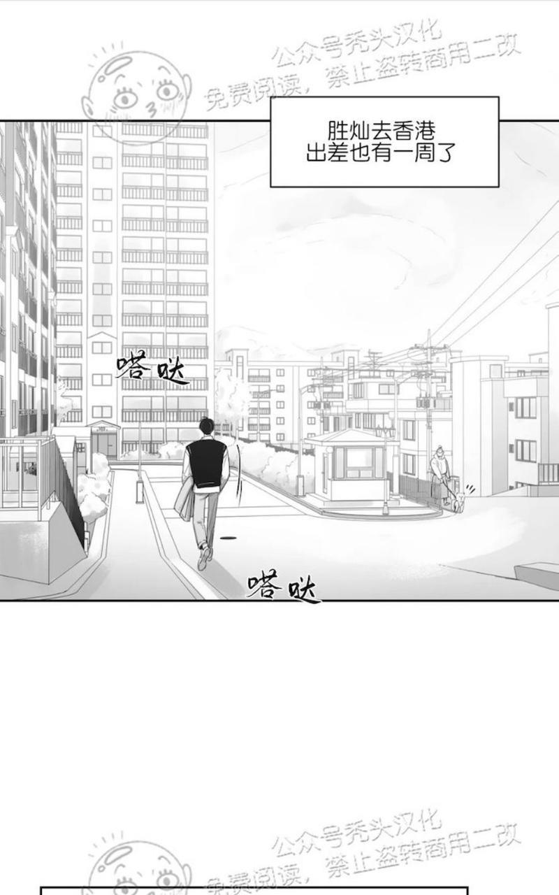 我的专属彗星/彗星向我来[耽美]韩漫全集-第45话无删减无遮挡章节图片 