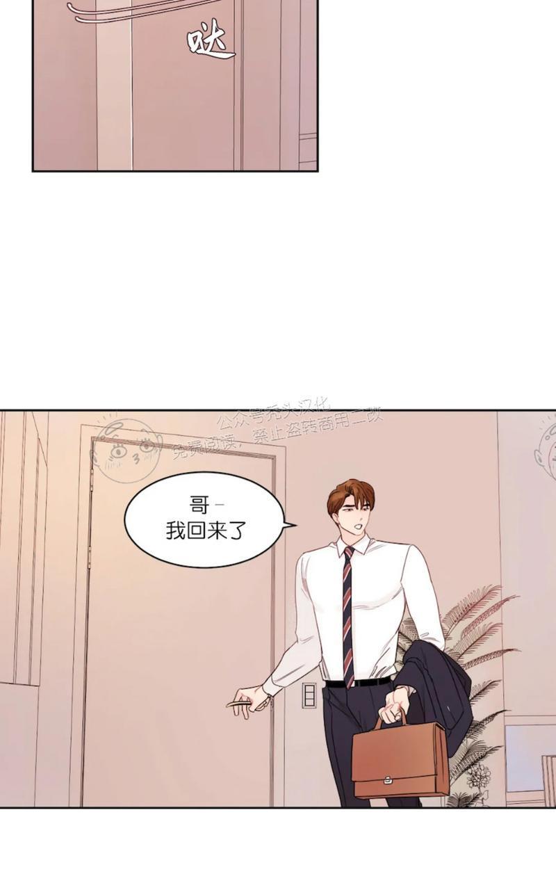 我的专属彗星/彗星向我来[耽美]韩漫全集-外传1无删减无遮挡章节图片 