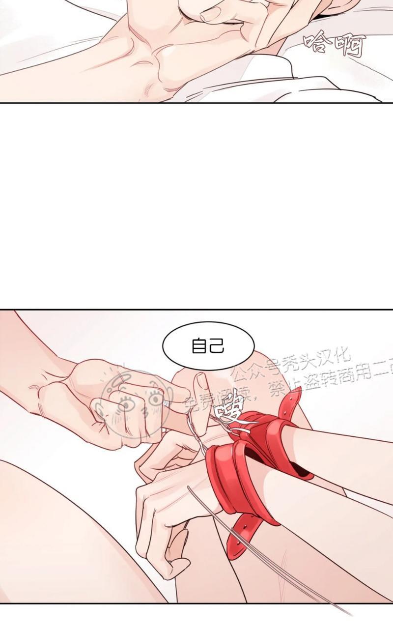 我的专属彗星/彗星向我来[耽美]韩漫全集-外传2无删减无遮挡章节图片 