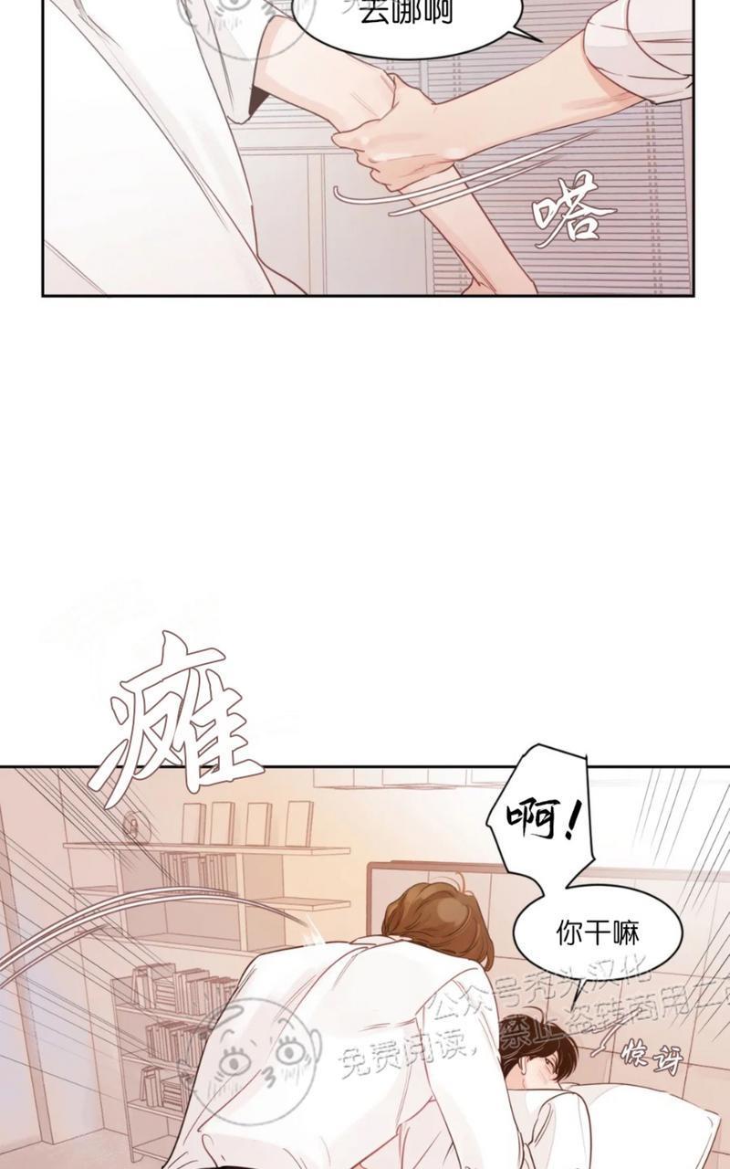我的专属彗星/彗星向我来[耽美]韩漫全集-外传2无删减无遮挡章节图片 