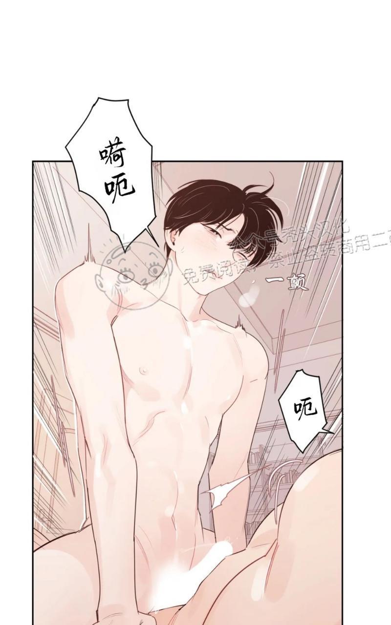我的专属彗星/彗星向我来[耽美]韩漫全集-外传3无删减无遮挡章节图片 