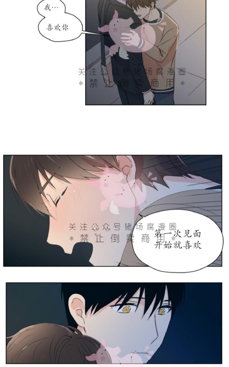 孤独的爱[耽美]韩漫全集-第5话无删减无遮挡章节图片 