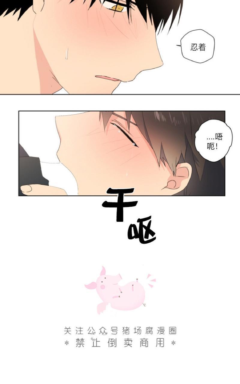 孤独的爱[耽美]韩漫全集-第10话无删减无遮挡章节图片 