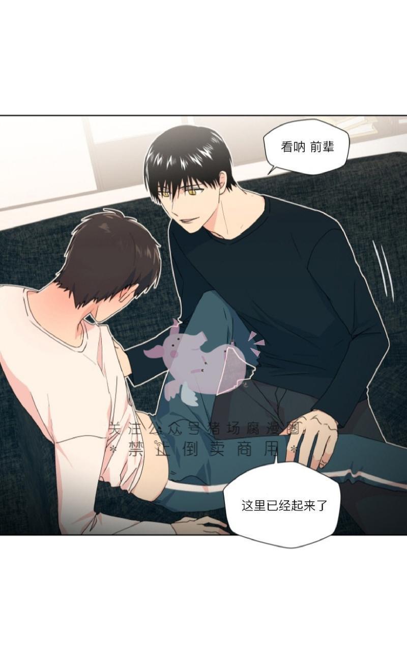 孤独的爱[耽美]韩漫全集-第12话无删减无遮挡章节图片 