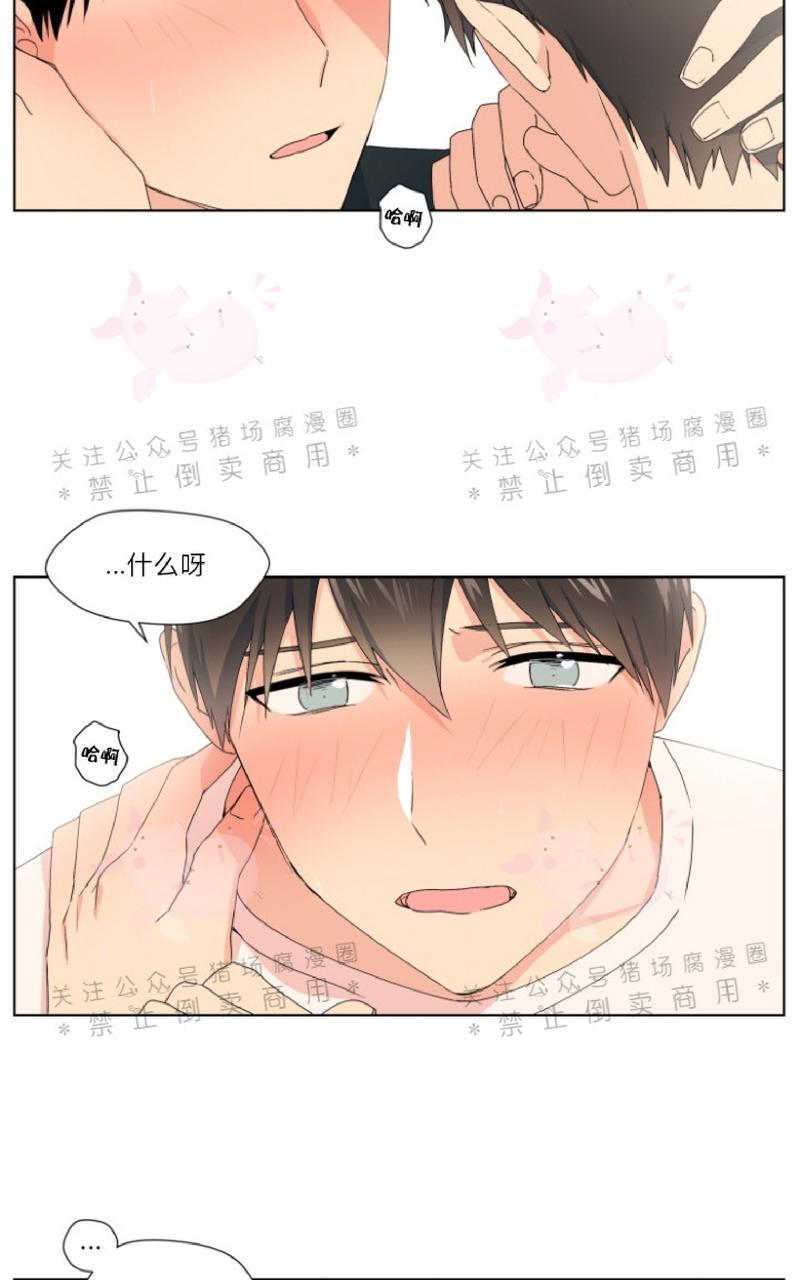 孤独的爱[耽美]韩漫全集-第13话无删减无遮挡章节图片 