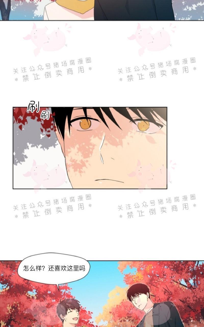孤独的爱[耽美]韩漫全集-第14话无删减无遮挡章节图片 