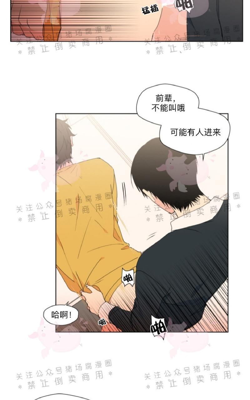 孤独的爱[耽美]韩漫全集-第16话无删减无遮挡章节图片 