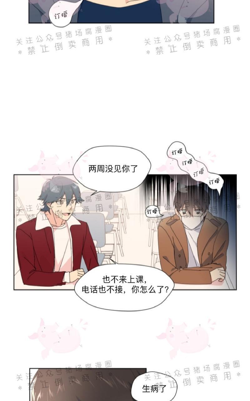 孤独的爱[耽美]韩漫全集-第17话无删减无遮挡章节图片 