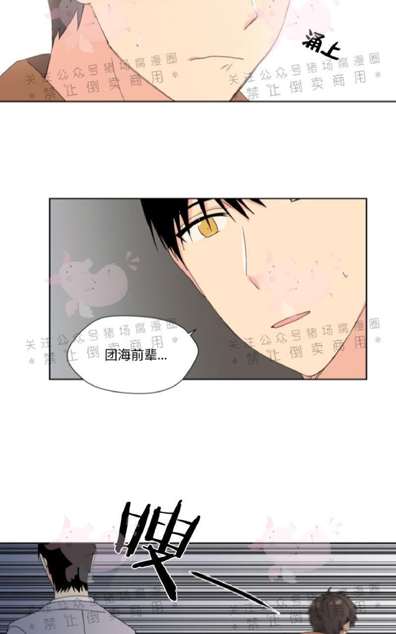 孤独的爱[耽美]韩漫全集-第17话无删减无遮挡章节图片 
