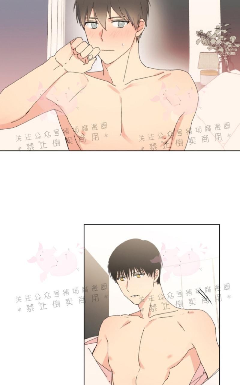 孤独的爱[耽美]韩漫全集-第19话无删减无遮挡章节图片 