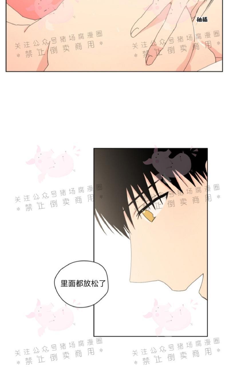 孤独的爱[耽美]韩漫全集-第19话无删减无遮挡章节图片 