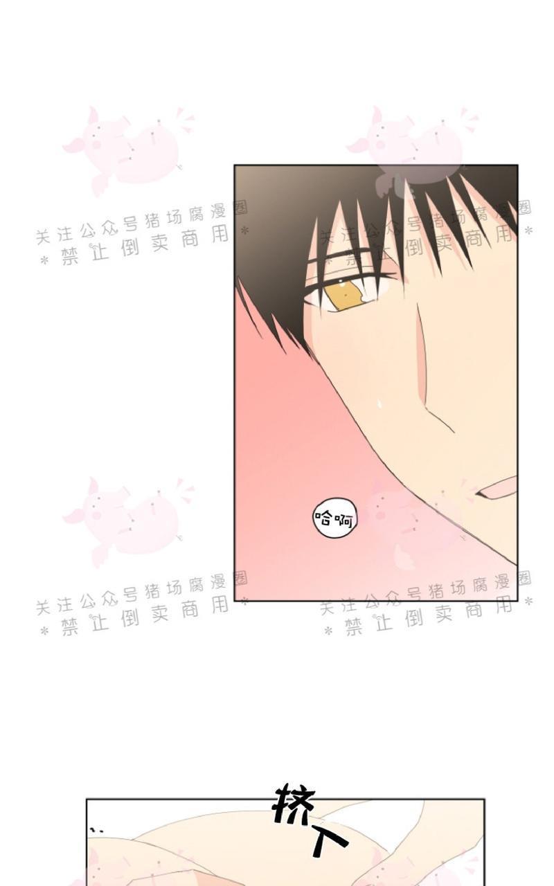 孤独的爱[耽美]韩漫全集-第19话无删减无遮挡章节图片 
