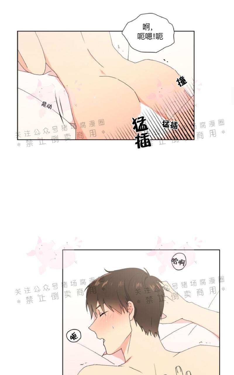 孤独的爱[耽美]韩漫全集-第19话无删减无遮挡章节图片 