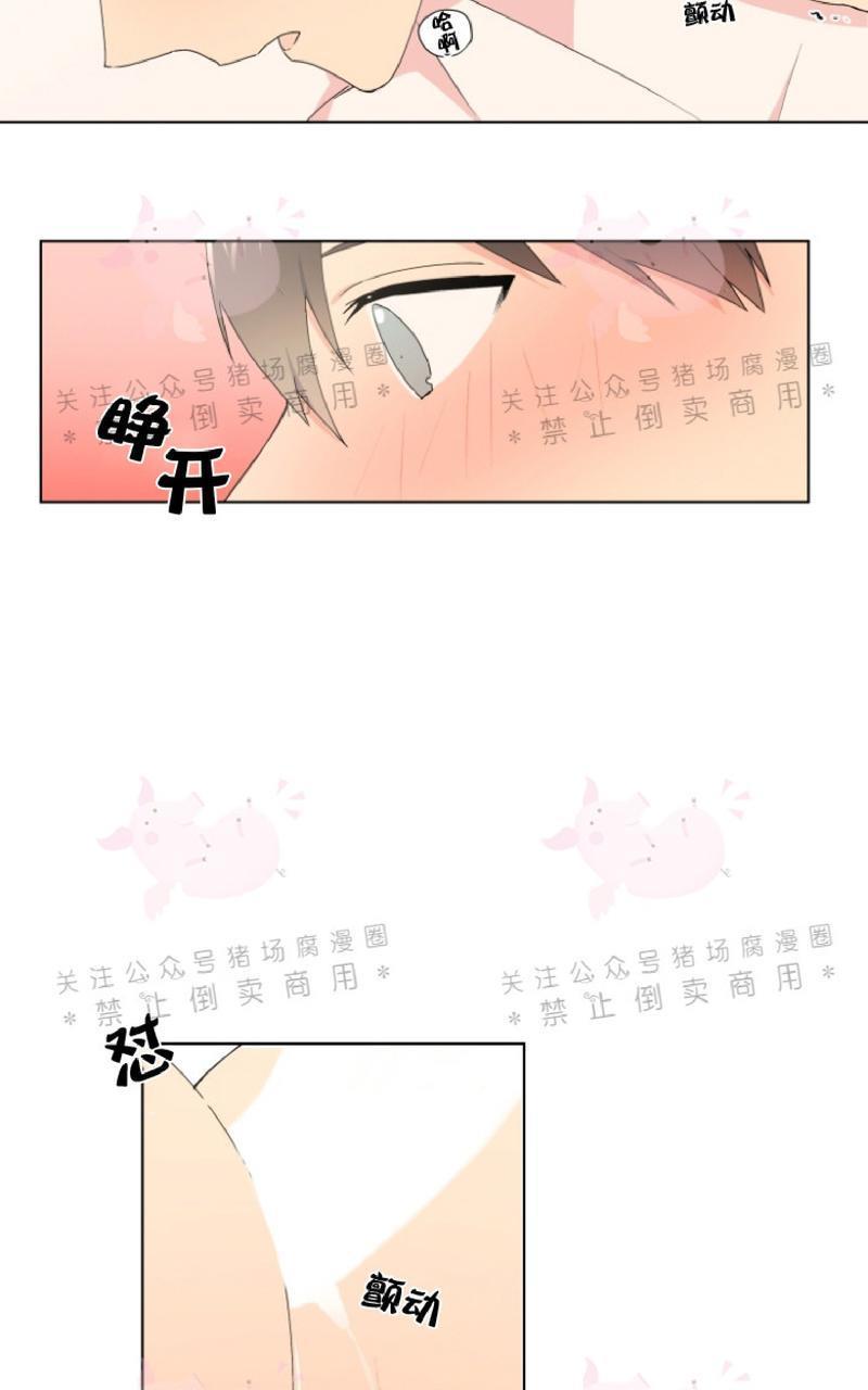 孤独的爱[耽美]韩漫全集-第19话无删减无遮挡章节图片 