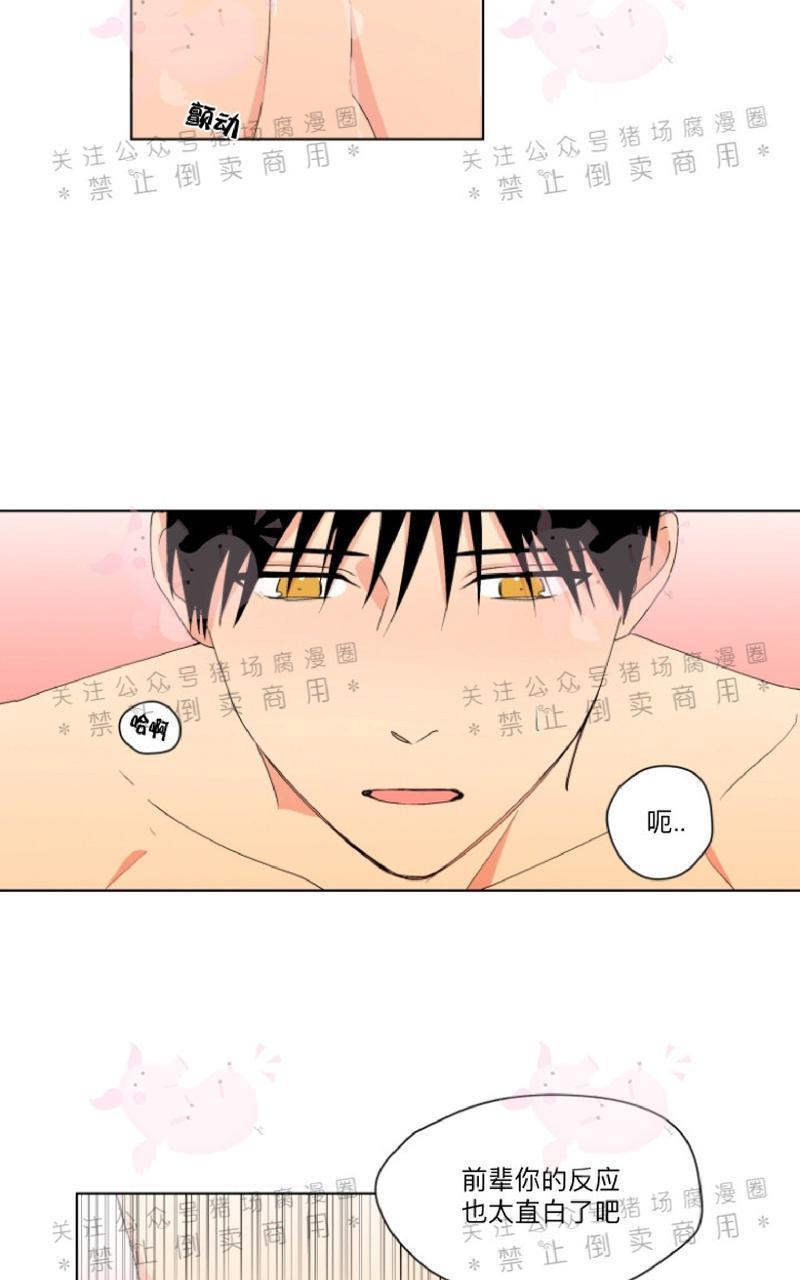 孤独的爱[耽美]韩漫全集-第19话无删减无遮挡章节图片 