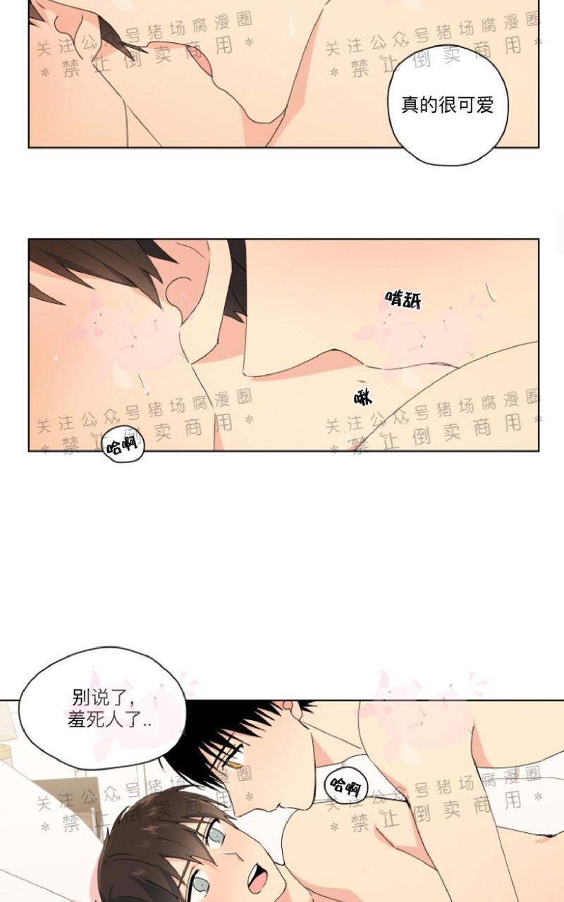 孤独的爱[耽美]韩漫全集-第19话无删减无遮挡章节图片 