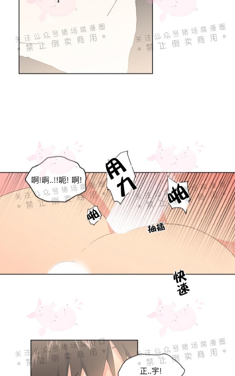 孤独的爱[耽美]韩漫全集-第19话无删减无遮挡章节图片 