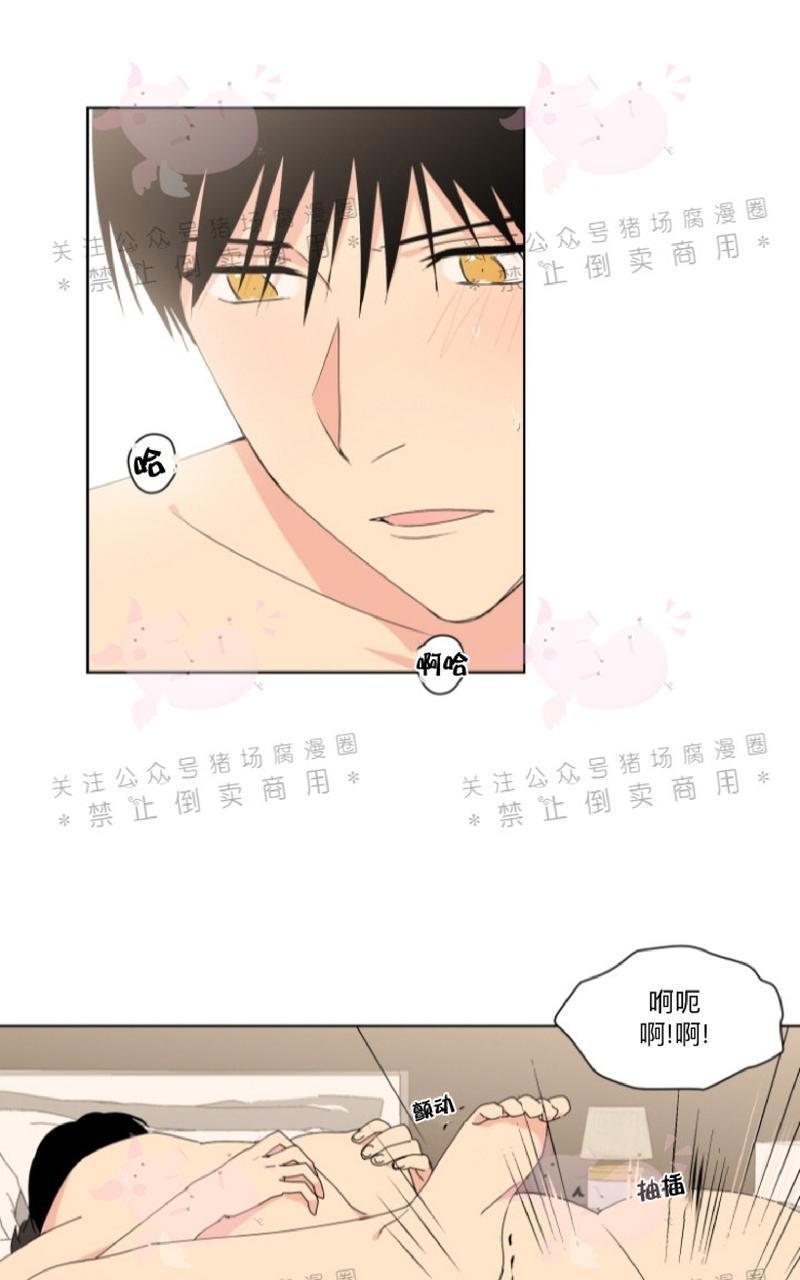 孤独的爱[耽美]韩漫全集-第19话无删减无遮挡章节图片 