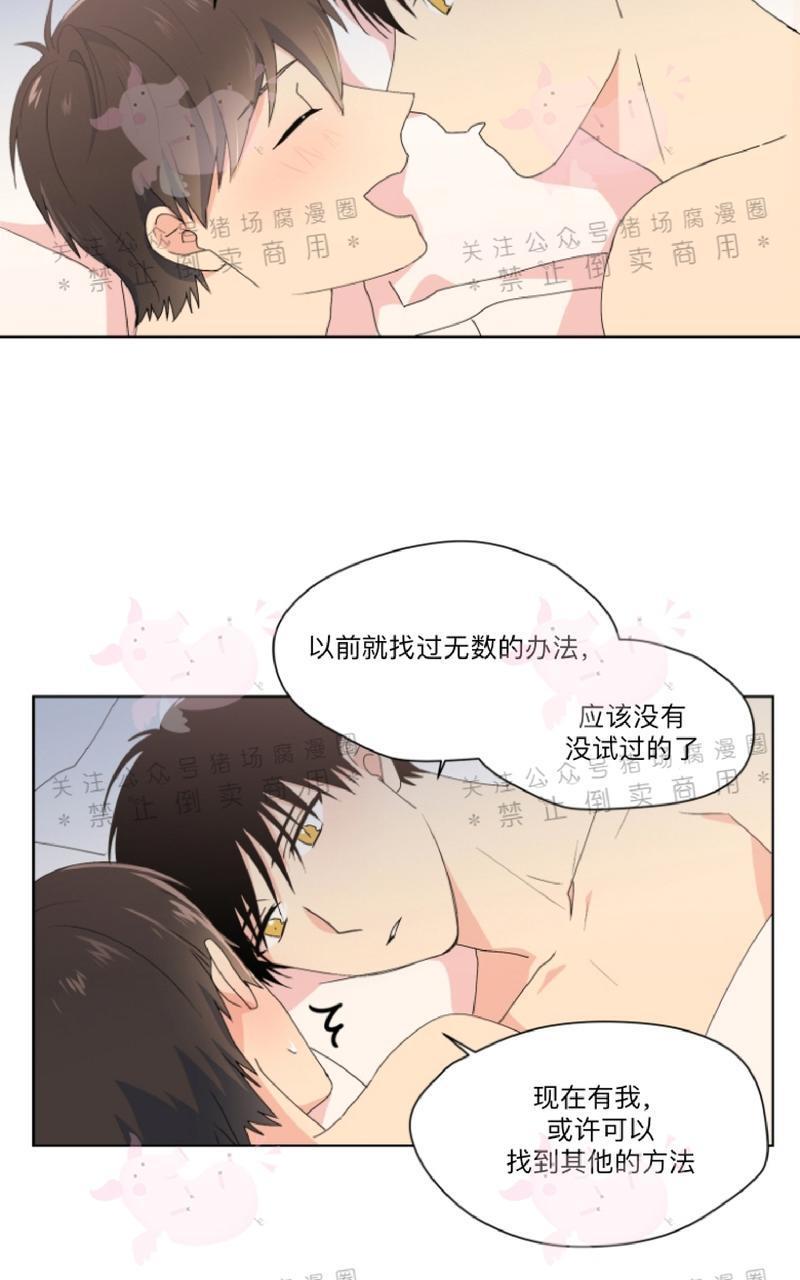 孤独的爱[耽美]韩漫全集-第20话无删减无遮挡章节图片 