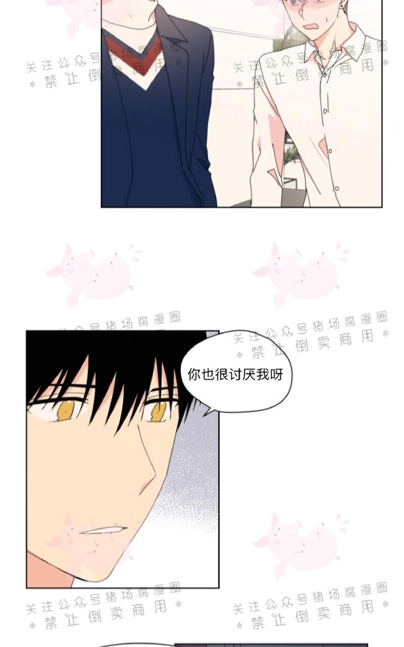 孤独的爱[耽美]韩漫全集-第20话无删减无遮挡章节图片 