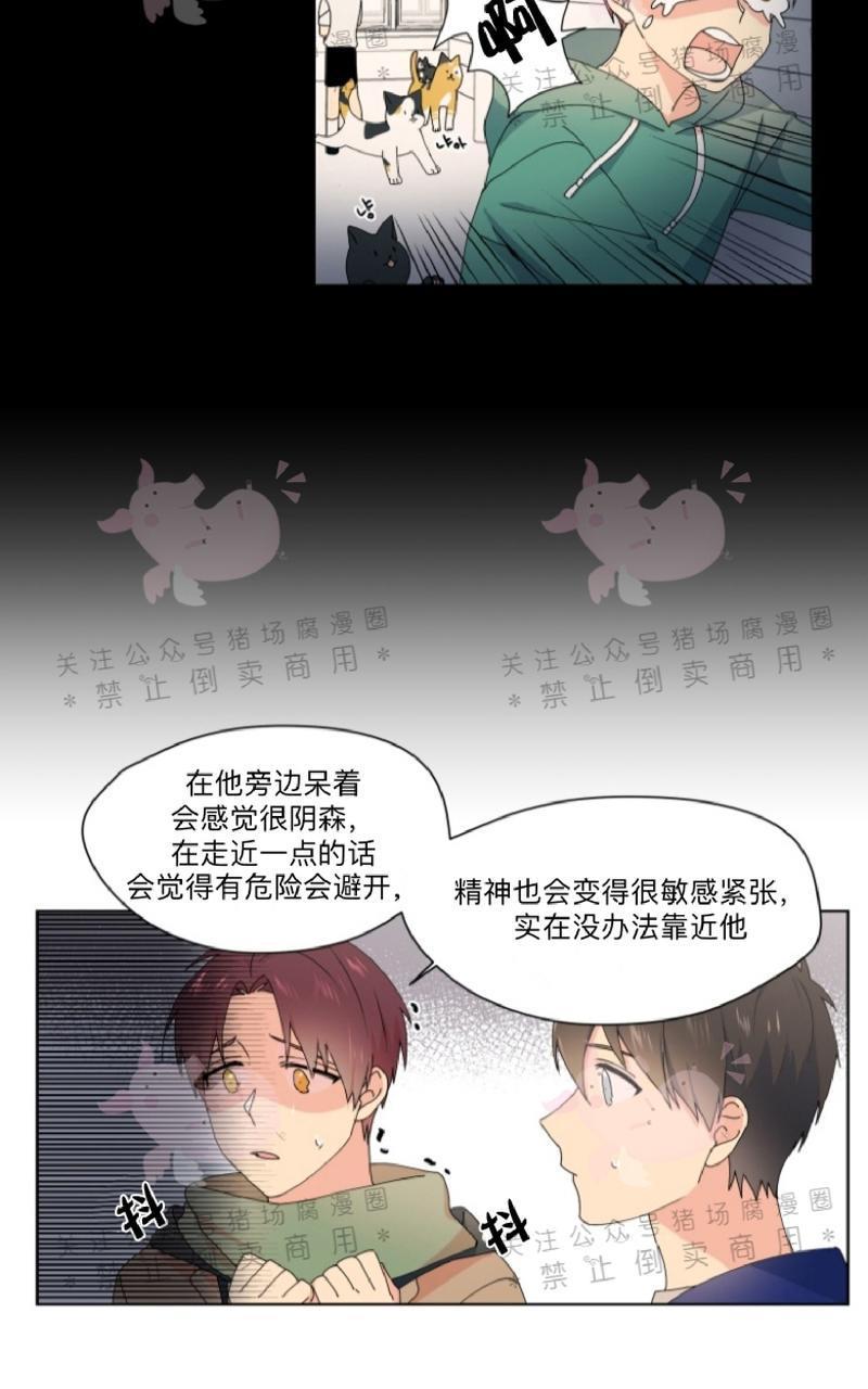 孤独的爱[耽美]韩漫全集-第21话无删减无遮挡章节图片 