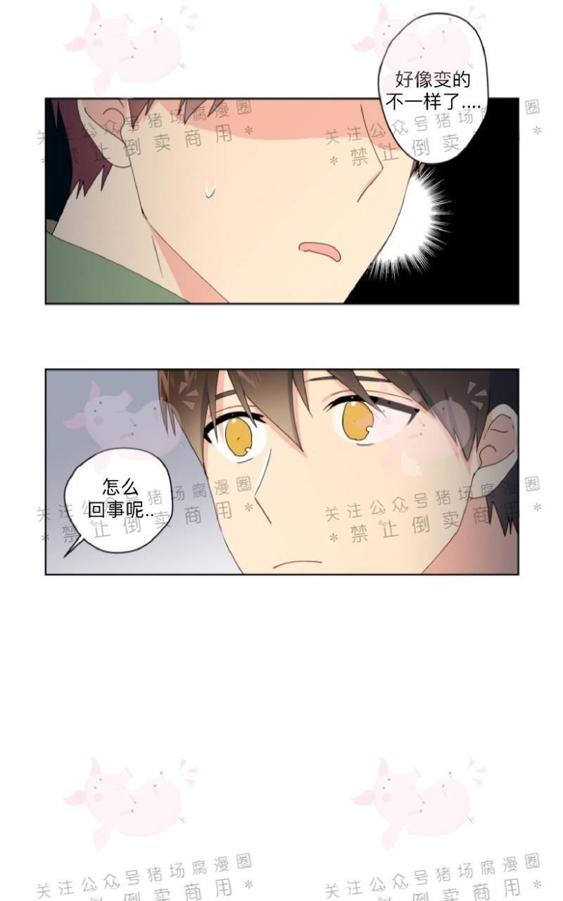 孤独的爱[耽美]韩漫全集-第21话无删减无遮挡章节图片 