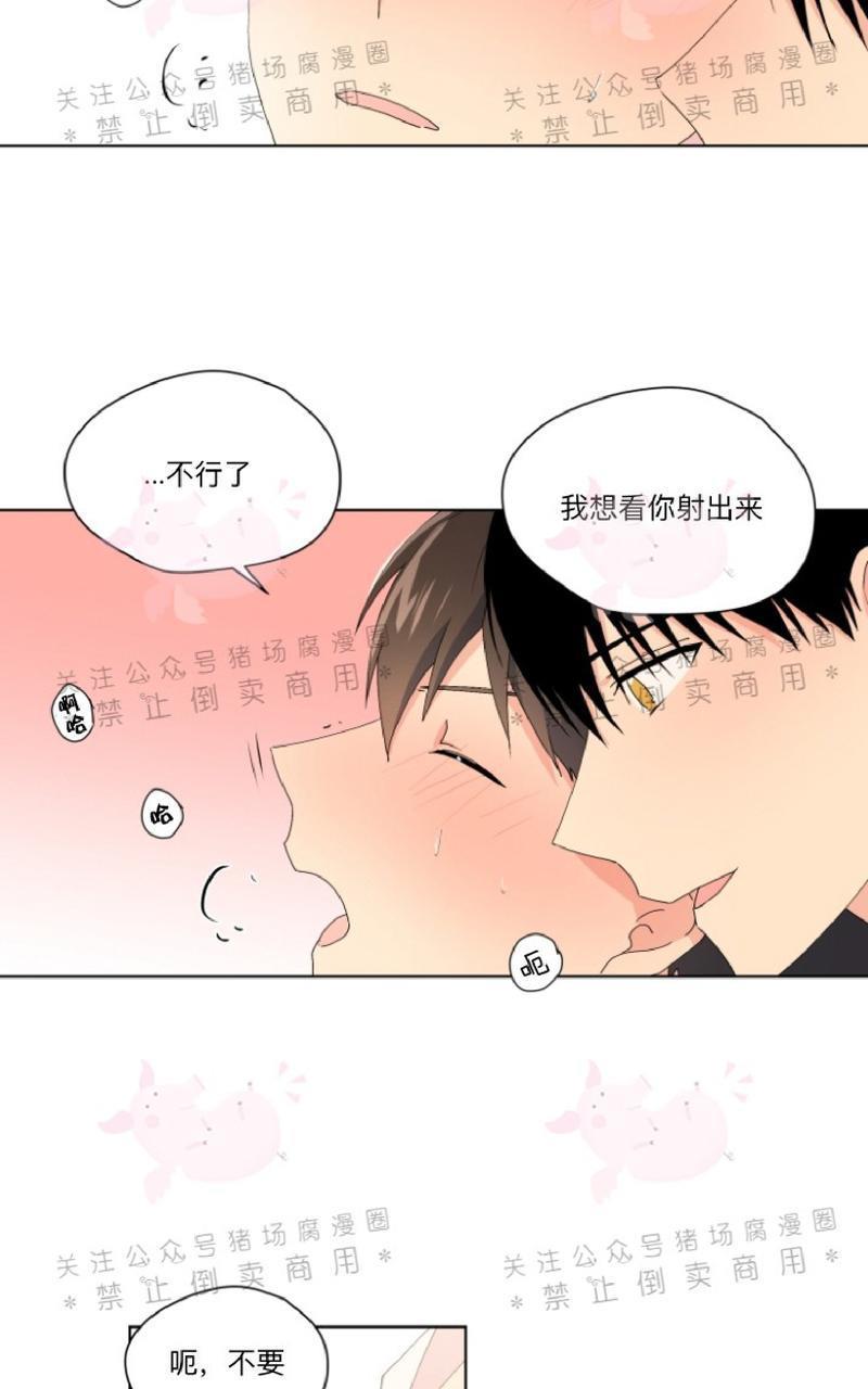 孤独的爱[耽美]韩漫全集-第22话无删减无遮挡章节图片 