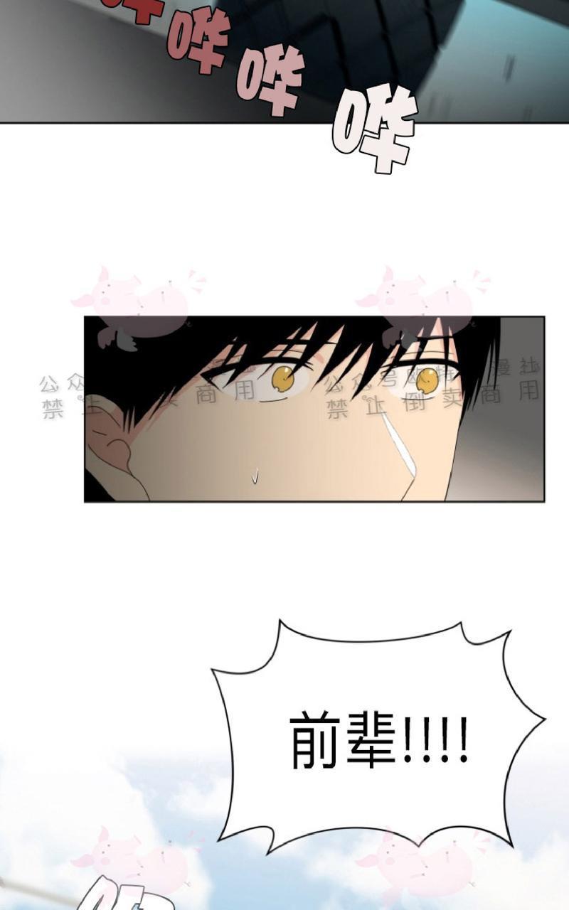 孤独的爱[耽美]韩漫全集-第26话无删减无遮挡章节图片 