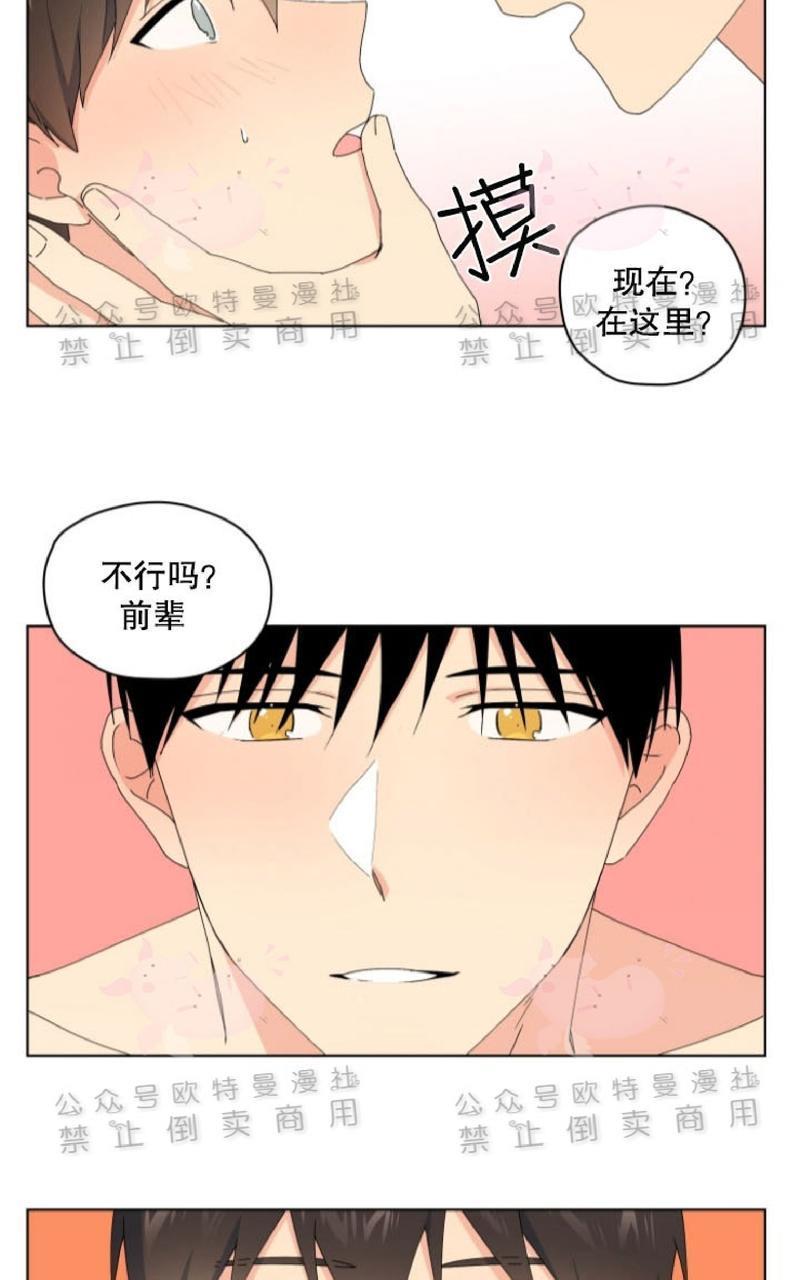 孤独的爱[耽美]韩漫全集-第28话无删减无遮挡章节图片 