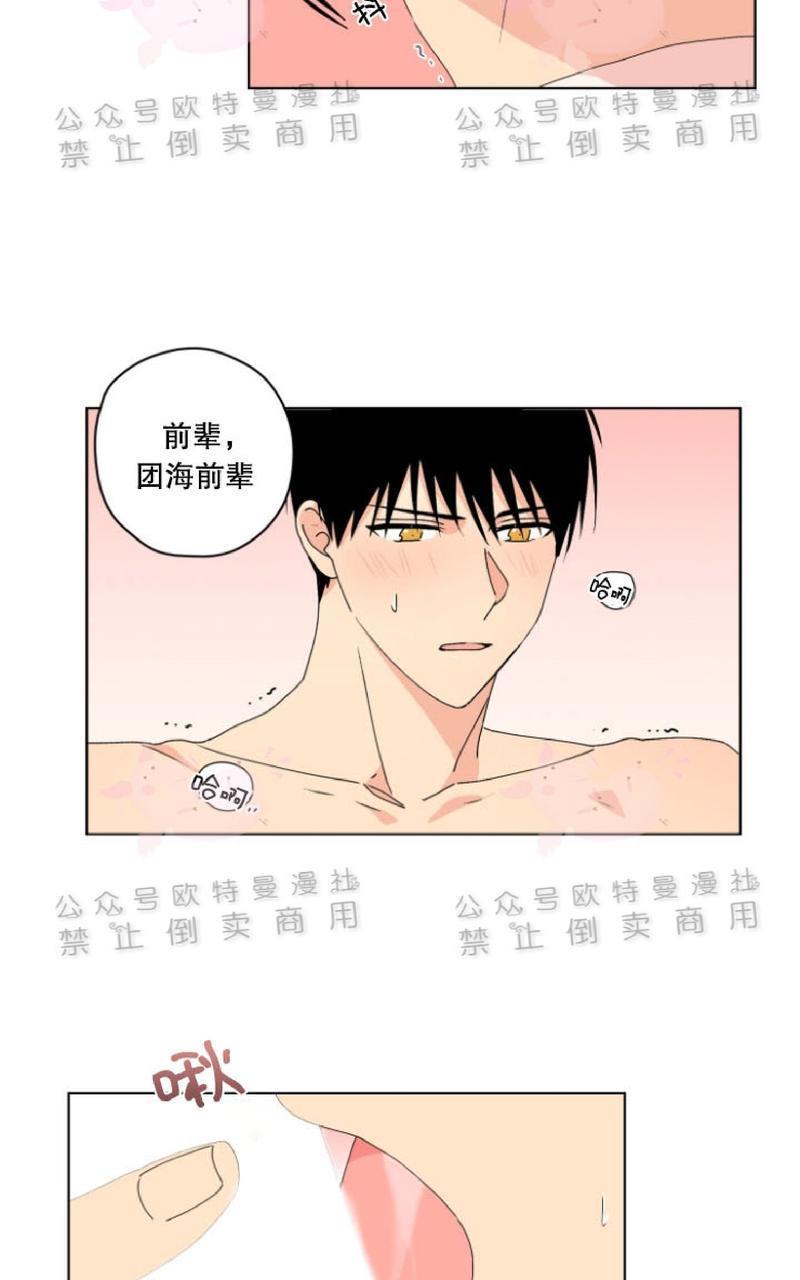 孤独的爱[耽美]韩漫全集-第28话无删减无遮挡章节图片 