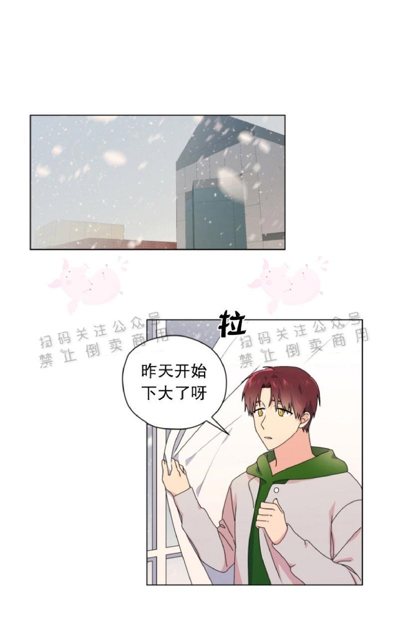 孤独的爱[耽美]韩漫全集-第31话无删减无遮挡章节图片 
